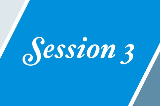session 3