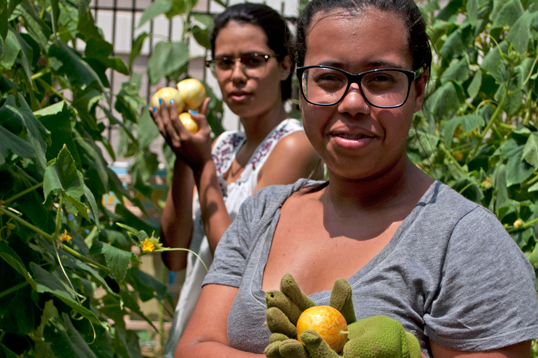 Brasilia Without Border students working in the GW GroW Garden