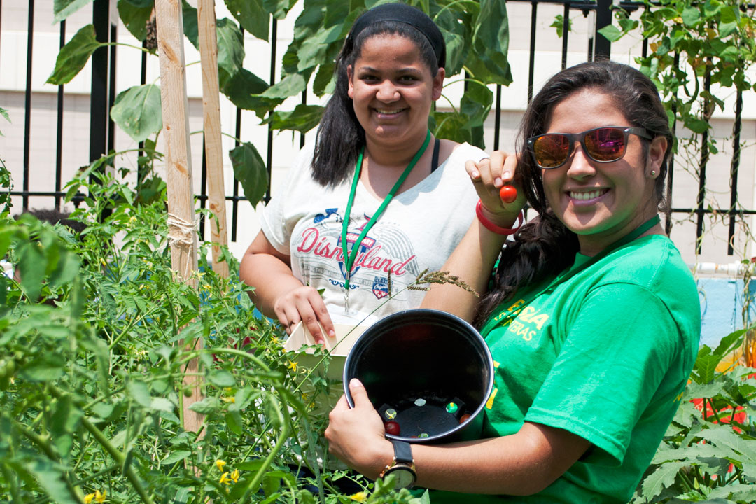 Brasilia Without Border students working in the GW GroW Garden