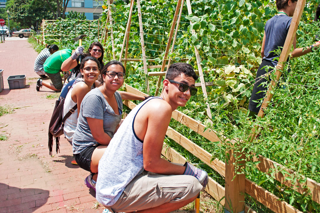 Brasilia Without Border students working in the GW GroW Garden