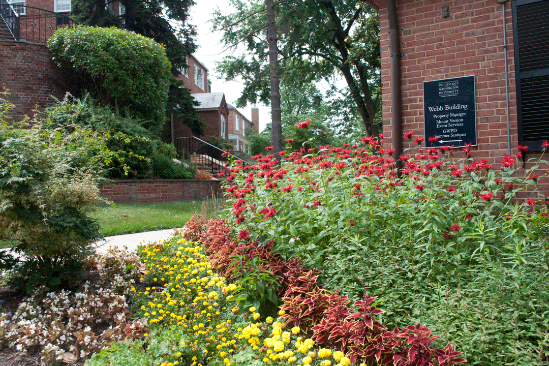 Dorms on Mount Vernon Campus