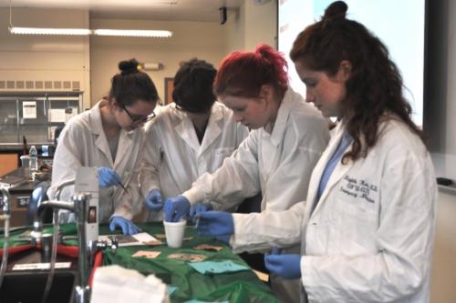 Students measuring chemicals in a glass